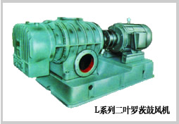 L5LD、L6LD羅茨鼓風(fēng)機(jī)